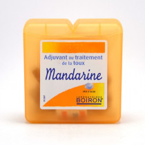 Pâtes Pectorales Mandarine - Traitement Symptomatique de La Toux - Boiron - 60g
