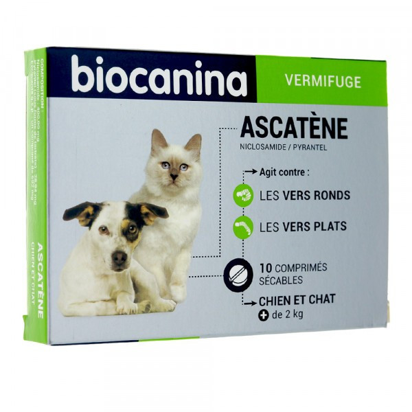 Ascatene Deworming For Dogs and Cats - Niclosamide 400 mg - Pyrantel 28.94mg - Biocanina, Box Of 10 Tablets