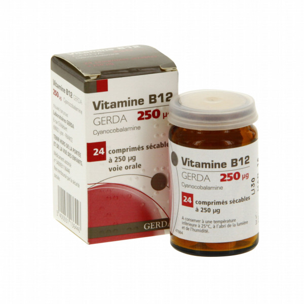 Vitamine B12 Gerda 250 ug, Anémie, Carence en Vitamine B12 - 24 Comprimés Sécables