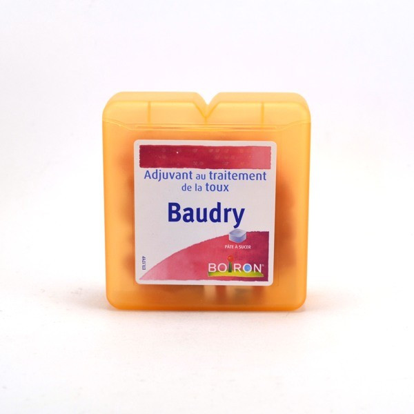 Pâte Baudry - Adjuvant au Traitement de la Toux - Boiron - 70g