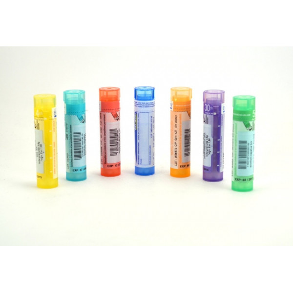 NERF PARASYMPATHIQUE Tubes granules