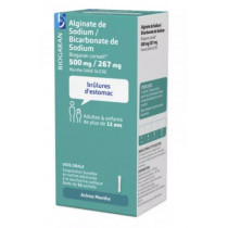 Alginate de Sodium 500 mg/ Bicarbonate de sodium 267mg, Biogaran, 12 sachets doses
