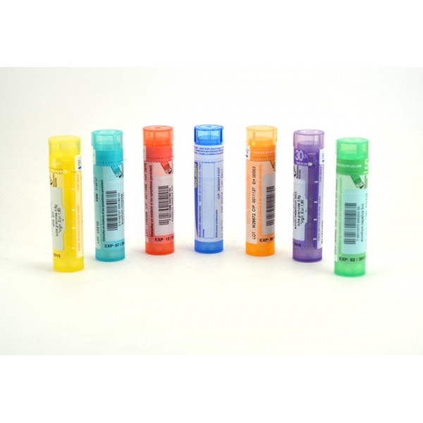 ARNICA MONTANA Tubes granules